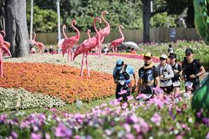 BIB: 
                            <button type="button" onclick="openModal(27794271)" class="btn btn-primary btn-sm float-right btn-popup" data-toggle="modal" data-target=".modal-high-quality">
                        <i class="fas fa-shopping-cart"></i> Add to Cart
                    </button>
                                            <button type="button" onclick="isThisMe(27794271, true)" class="btn btn-success btn-sm float-right btn-popup btn-isme hidden" data-toggle="tooltip" data-placement="bottom" title="นี่คือรูปของคุณใช่ไหม คลิกที่นี่เพื่อเอาเข้าอัลบั้ม">
                        <i class="fas fa-plus"></i> Add to album
                    </button>
                    <button type="button" onclick="isThisMe(27794271, false)" class="btn btn-warning btn-sm float-right btn-popup btn-isnotme hidden">
                        <i class="fas fa-ban"></i> Remove from album
                    </button>